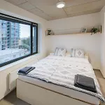 Domeq Free Parking, Gym, Co-working And Terrace