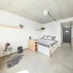 Domeq Free Parking, Gym, Co-working And Terrace Komarov