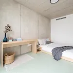 Domeq Free Parking, Gym, Co-working And Terrace Apartament