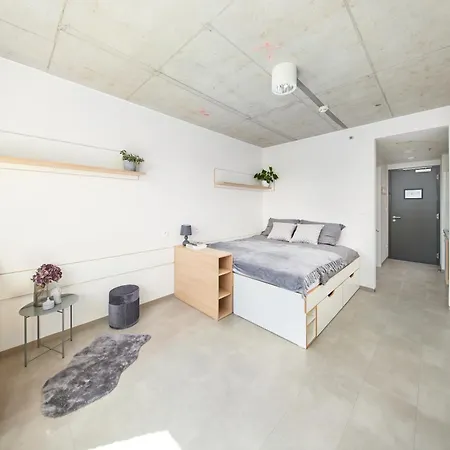 Domeq Free Parking, Gym, Co-working And Terrace Komarov